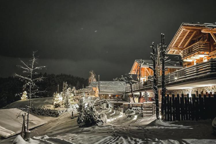 Winter vacation in a chalet
