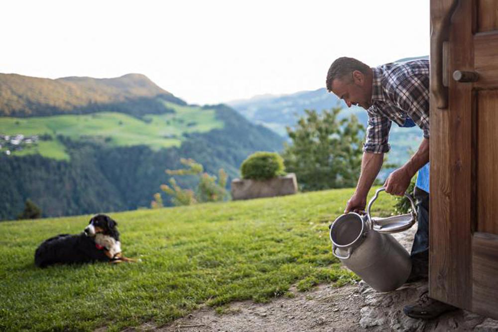 Frische Milch vom Bauernhof