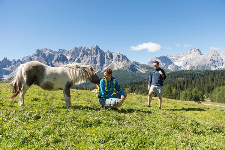 Klammbachalm