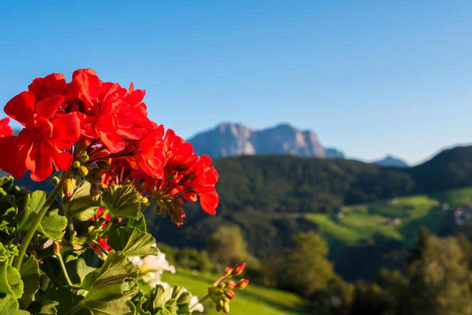 Balkonblick von den Chalets