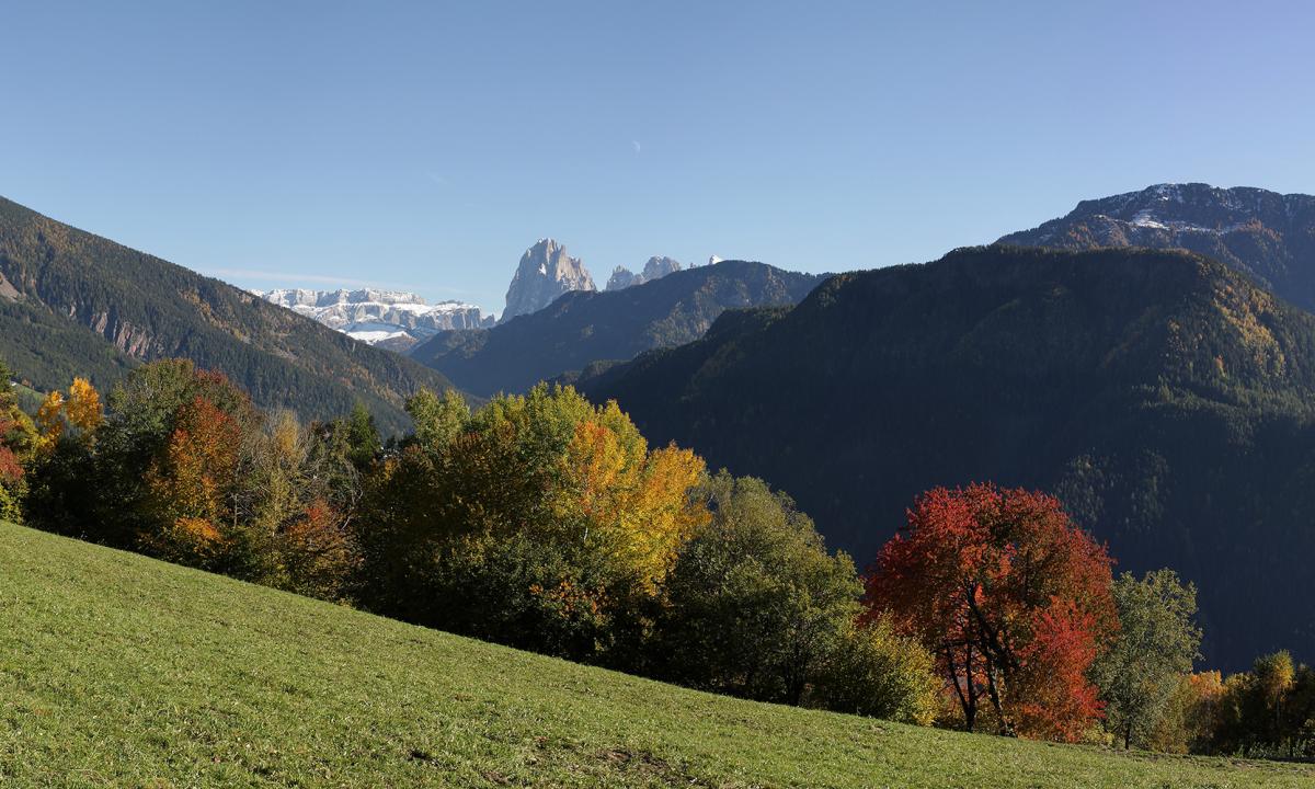 Sentiero della posta in autunno