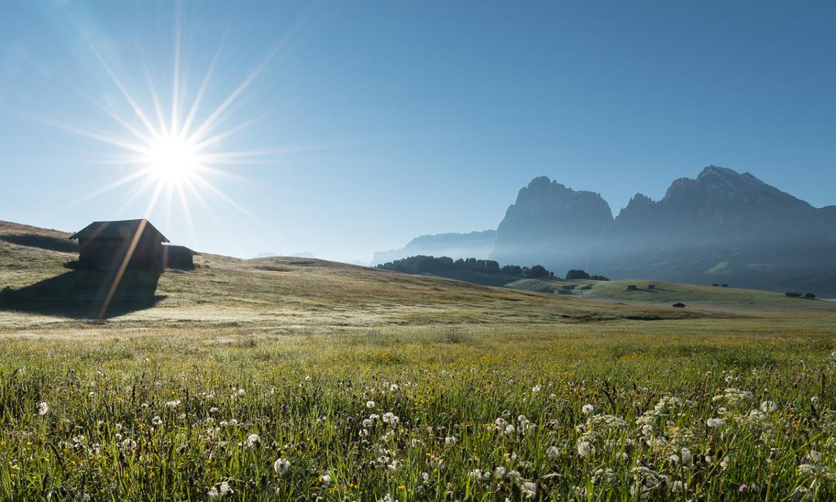 Sommer auf der Seiser Alm in Gröden