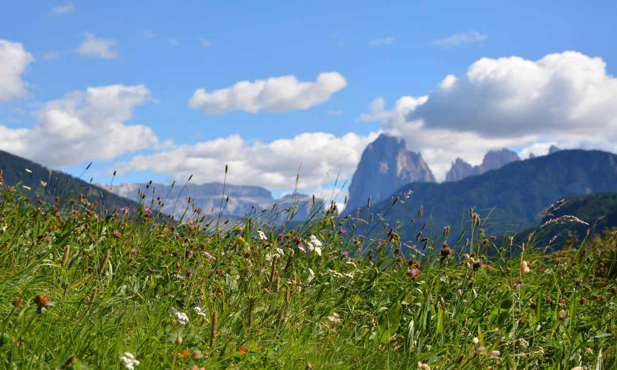 Val Gardena